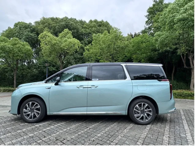 大通新能源车 大家9 大通新能源车 大家9