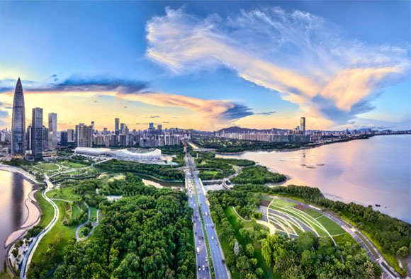 中港牌投资条件