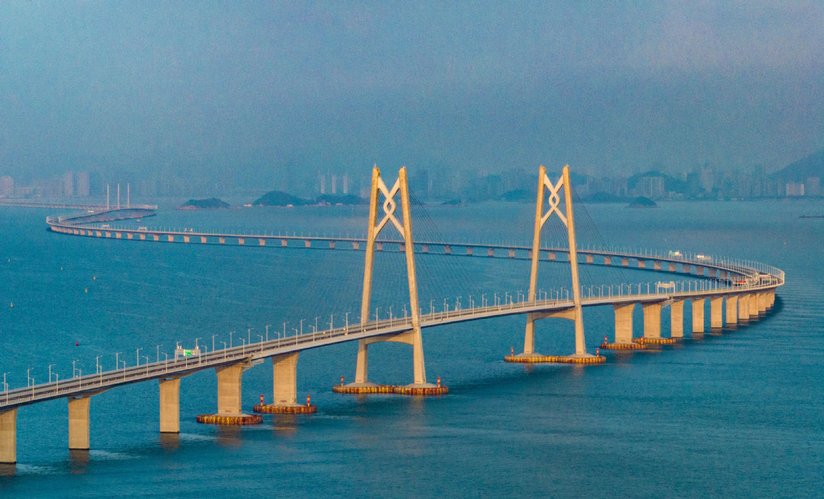 港珠澳大桥FV车牌申请全攻略：条件、流程与必备材料