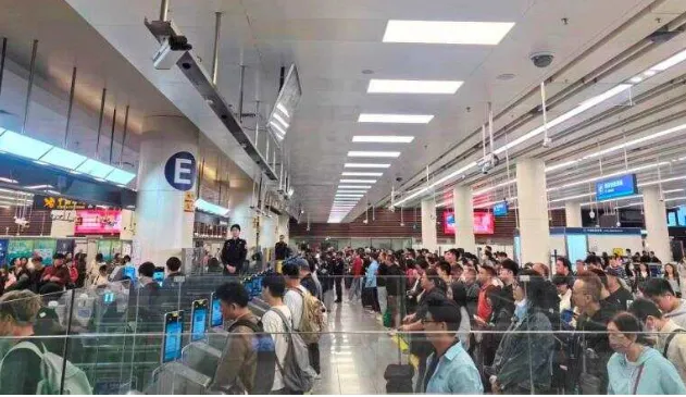 清明假期港人北上、粤人南下 大湾区内再现“双向奔赴”